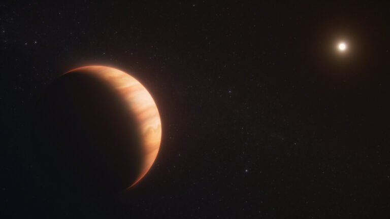 Exploring the Survival of a Planet After Its Star’s Demise