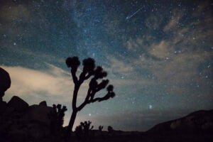 Perseid Meteor Shower 2026: How to Watch the Sky Light Up Tonight