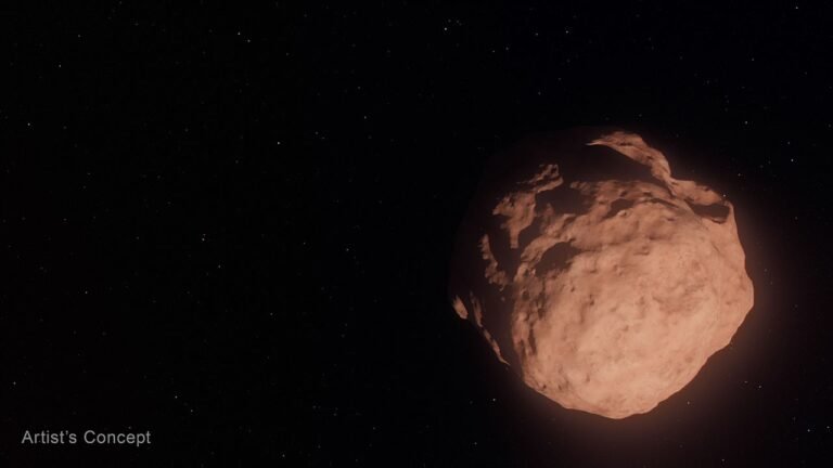 Hubble and Webb Team Up to Reveal Distant Solar System Objects