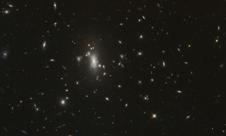 Hubble Celebrates 200,000 Orbits with a Supernova Search