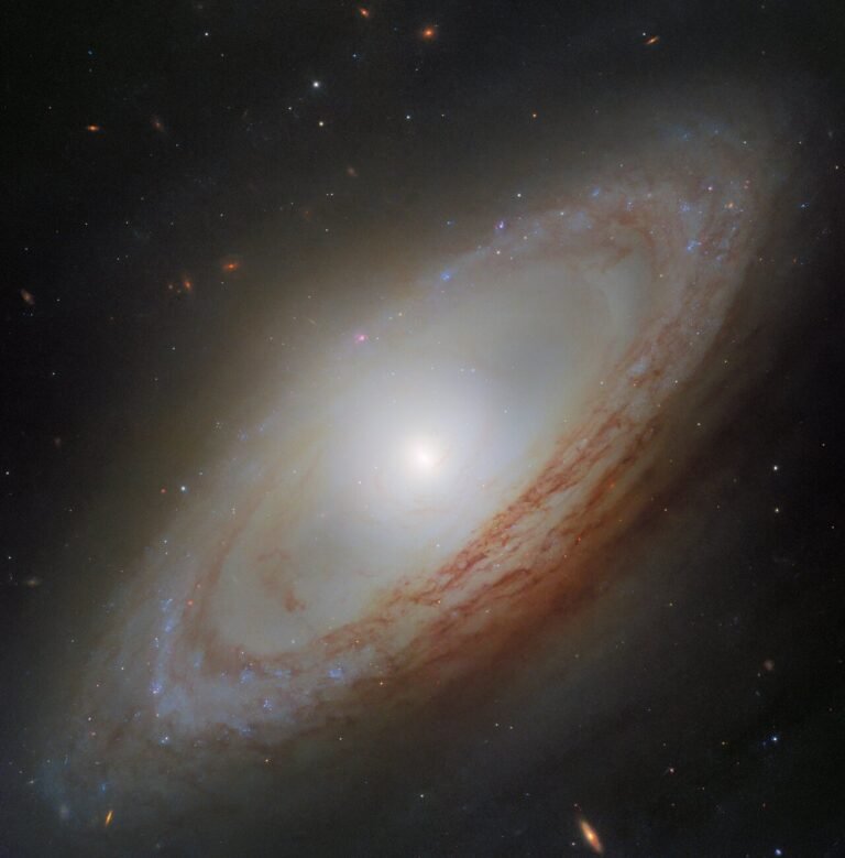 NGC 4698: A Spiral Galaxy with an Unexpected Twist