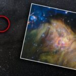 Webb Telescope Unveils New Brown Dwarfs in IC 348
