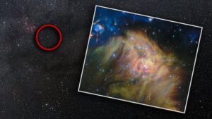 Webb Telescope Unveils New Brown Dwarfs in IC 348